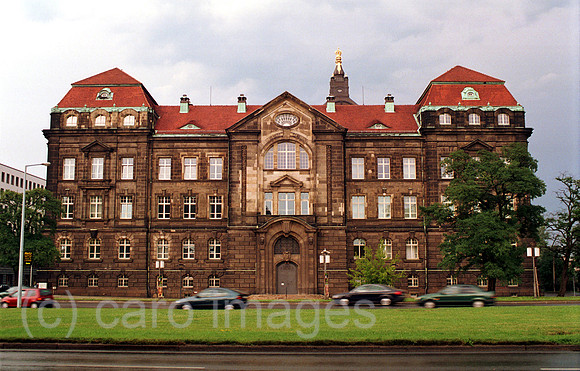 00A69404ACARO.JPG