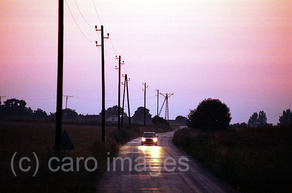 00A70131ACAROE.JPG