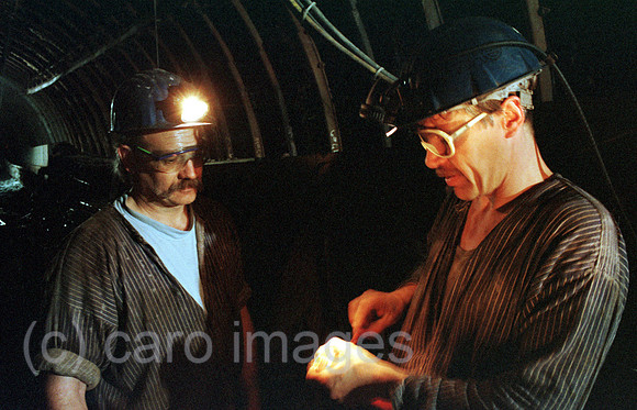 00A64118ACARO.JPG