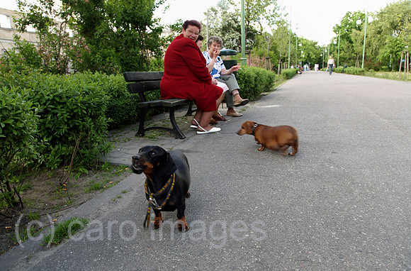 00A070510D948CAROE.JPG