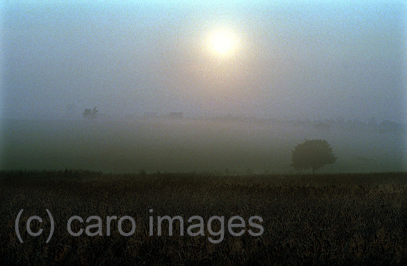 00A70330CAROE.JPG