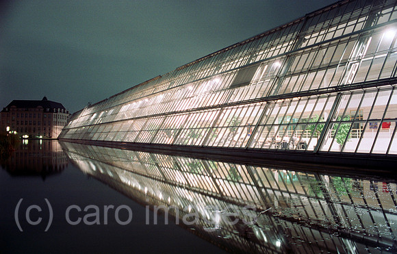 00A63406ACARO.JPG