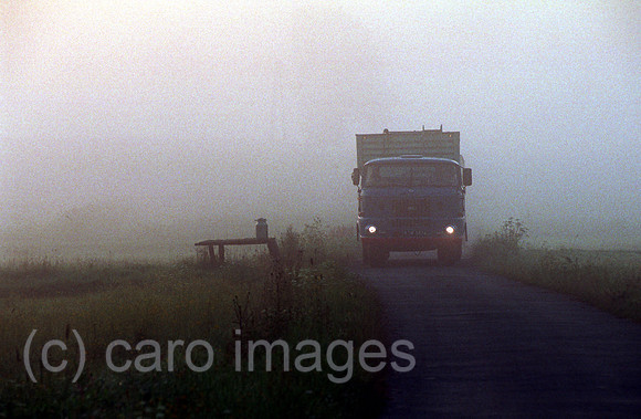 00A70331CAROE.JPG