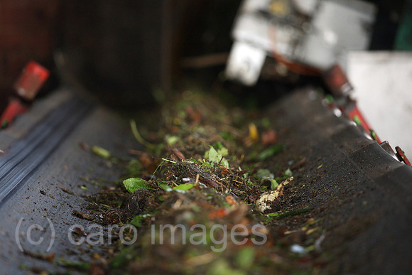 00A070514D010CAROE.JPG