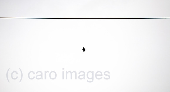 00A070514D027CAROE.JPG