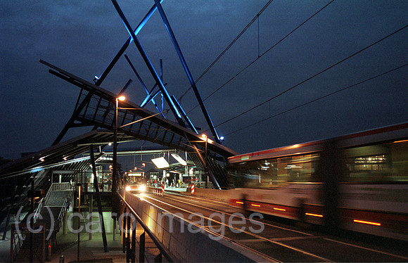 00A63310ACARO.JPG