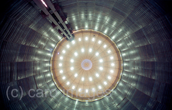 00A63335ACARO.JPG