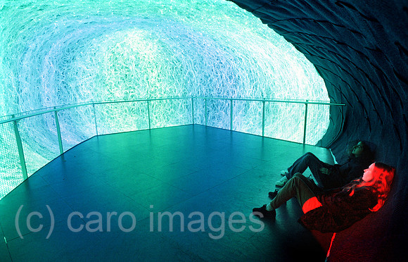 00A63921ACARO.JPG