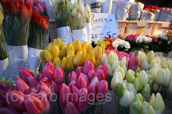 00A070317D120CAROEP.JPG