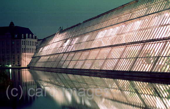 00A63404ACARO.JPG