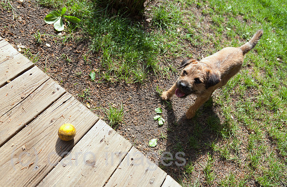 00A070509D048CAROE.JPG