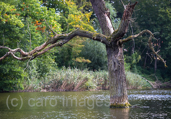 0CE140923D005CAROE.JPG