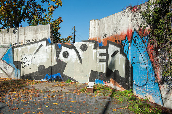 0CE141019D009CAROE.JPG