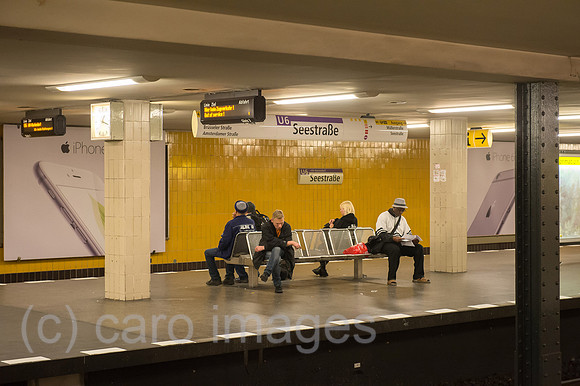 0CE141020D004CAROE.JPG
