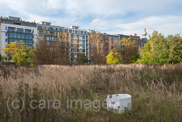 0CE141014D007CAROE.JPG