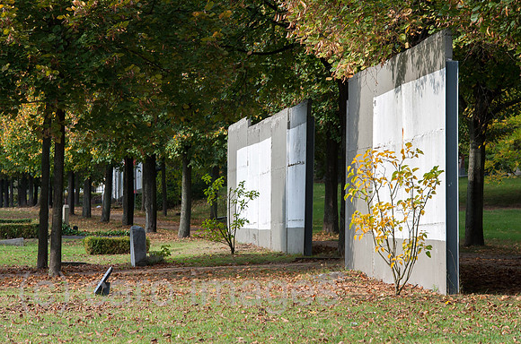 0CE141014D001CAROE.JPG
