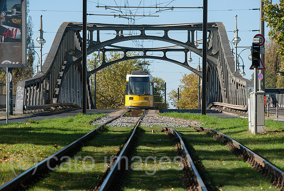 0CE141019D015CAROE.JPG