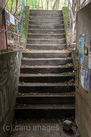 0CE141013D003CAROE.JPG