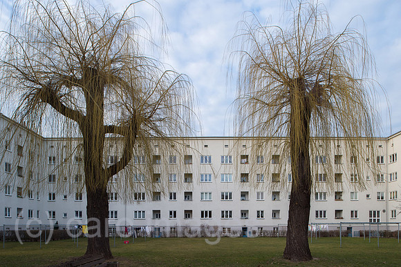 0CE150308D043CAROE.JPG
