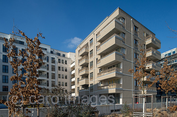 0CE150226D008CAROE.JPG