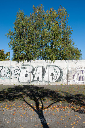 0CE141019D011CAROE.JPG