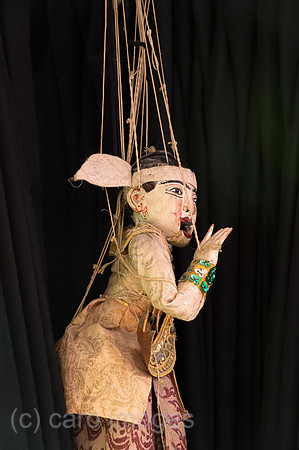 0CE141111D009CAROE.JPG