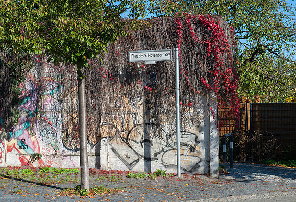 0CE141019D006CAROE.JPG