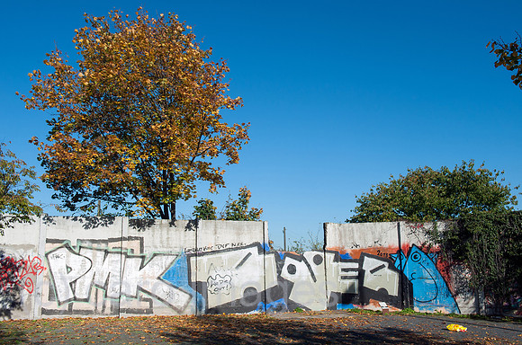 0CE141019D012CAROE.JPG