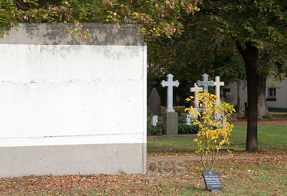 0CE141014D005CAROE.JPG
