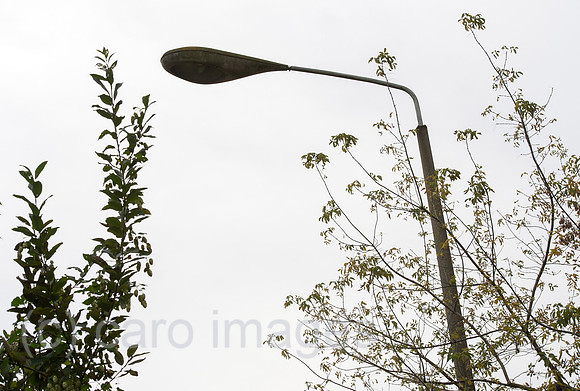 0CE141013D008CAROE.JPG