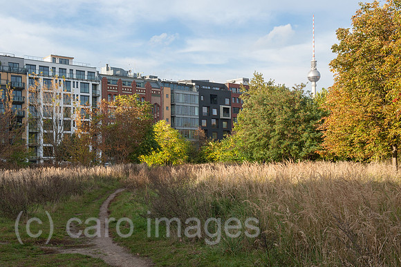 0CE141014D008CAROE.JPG