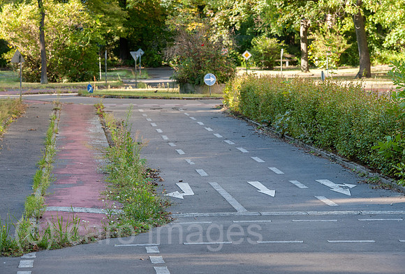 0CE140828D019CAROE.JPG