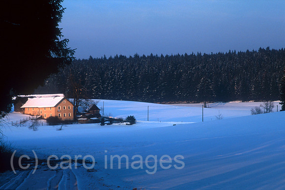 00J002008CARO.JPG