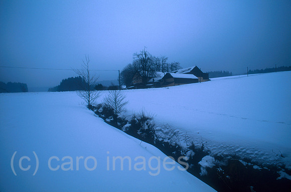 00J002006CARO.JPG