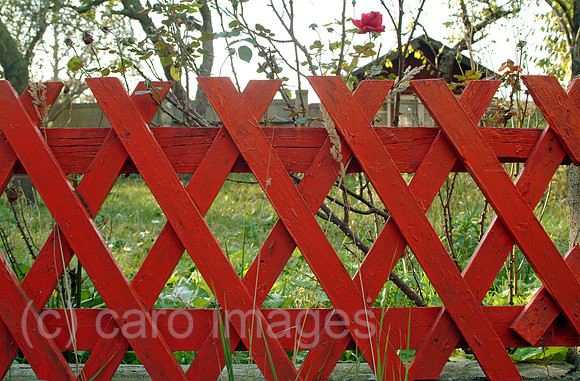 0MC051113D261CAROE.JPG