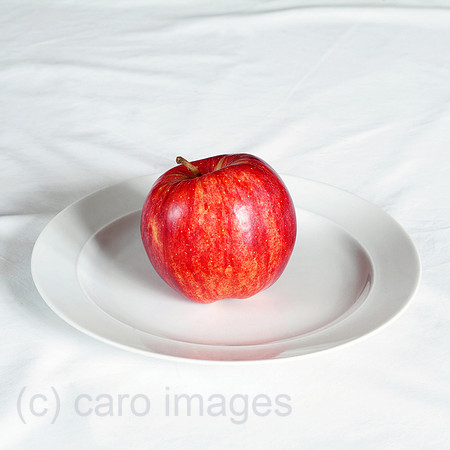 0MC090120D133CAROE.JPG