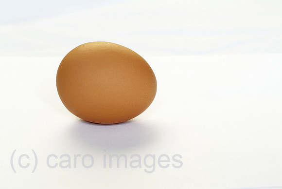 0MC090330D009CAROE.JPG