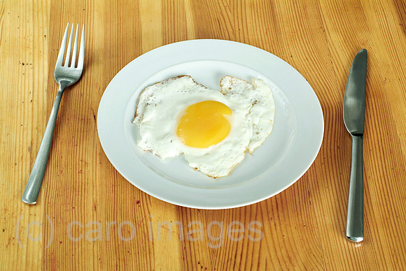 0MC090120D143CAROE.JPG