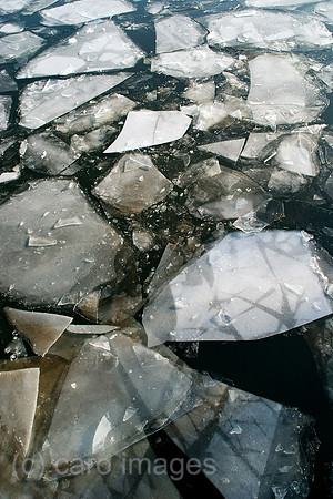 0MC090112D102CAROE.JPG