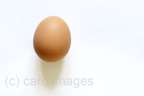 0MC090330D004CAROE.JPG