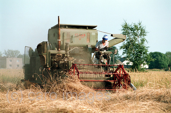 00A72420CAROE.JPG