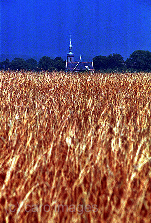 00A71634ACAROE.JPG