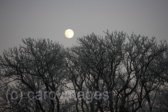 00A071222D090CAROEP.JPG