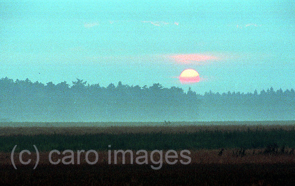 00A73328CARO.JPG