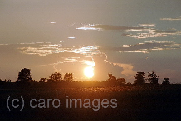 00A74023ACAROE.JPG
