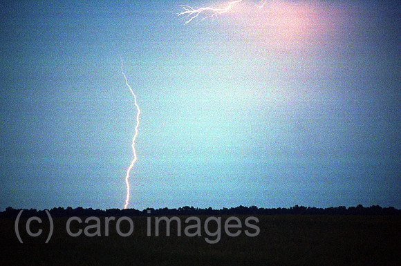 00A75311ACAROE.JPG