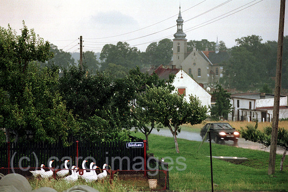 00A71620ACAROE.JPG