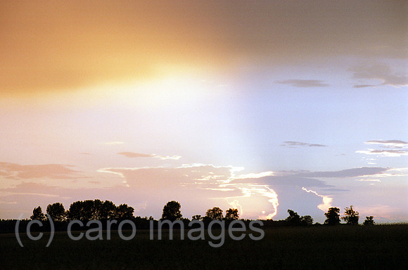 00A74027ACAROE.JPG