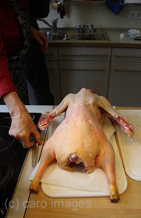 00A071225D002CAROE.JPG