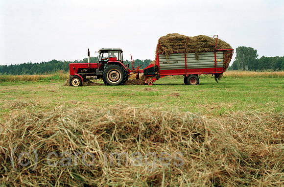 00A73005CAROE.JPG